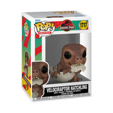 Jurassic Park Velociraptor (Cria) Funko Pop 2