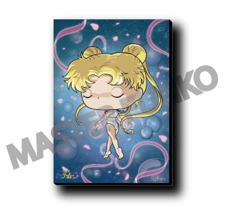 Sailor Moon Transformación Funko Cuadro