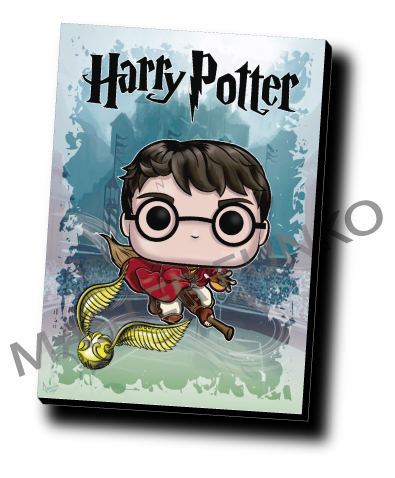 Harry Potter Quidditch Funko Cuadro